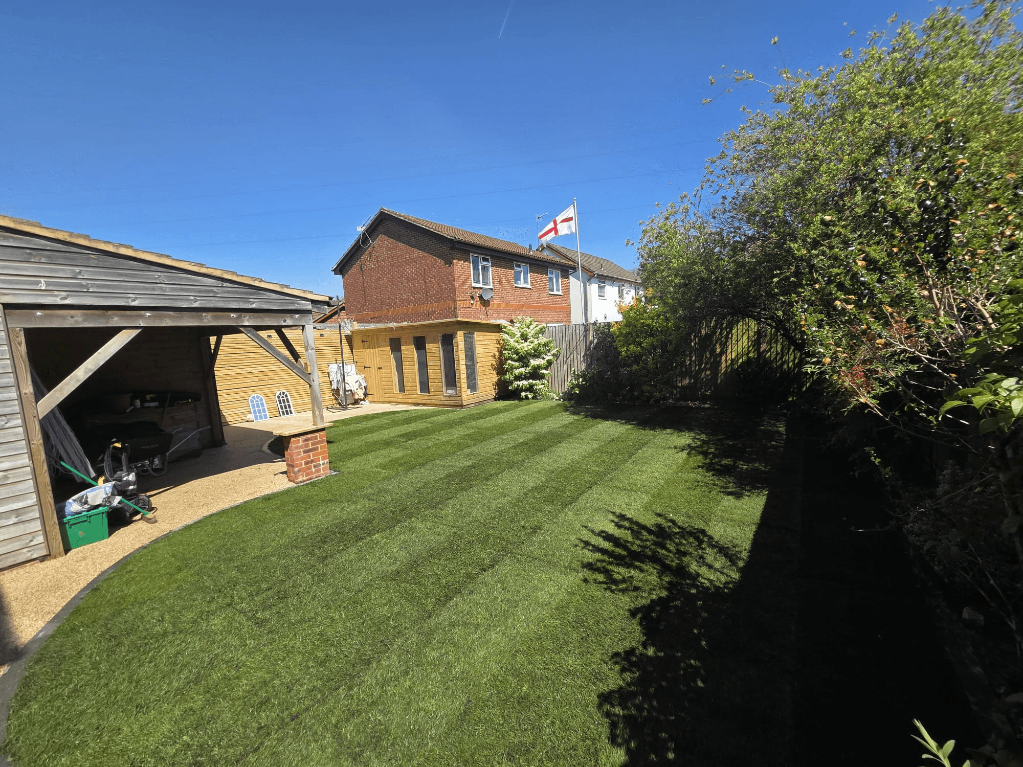 Lawn Transformation
